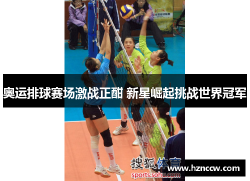 奥运排球赛场激战正酣 新星崛起挑战世界冠军